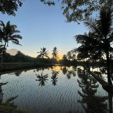 Tereng Wilis Bungalows Tetebatu Buitenkant foto
