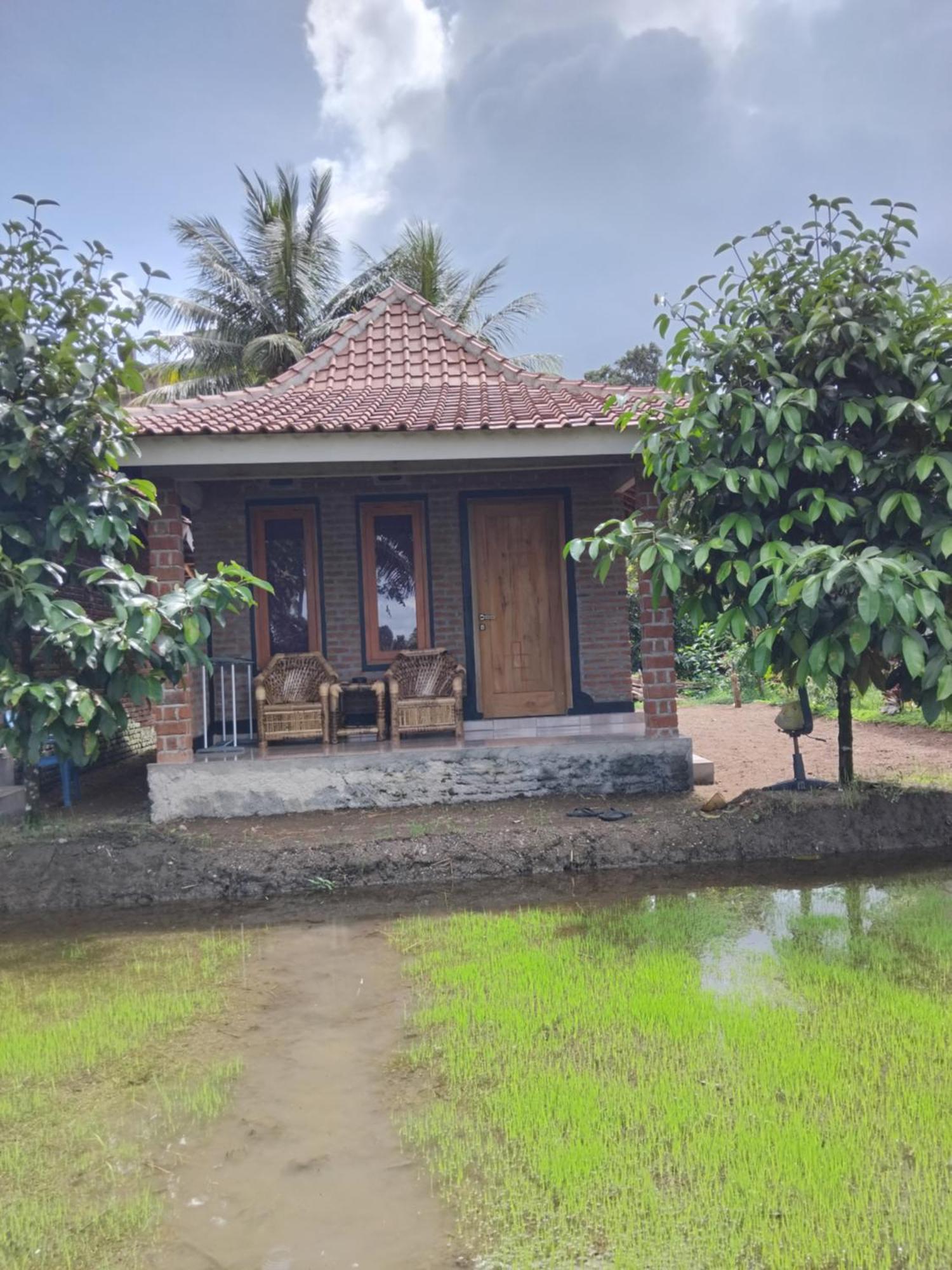 Tereng Wilis Bungalows Tetebatu Buitenkant foto