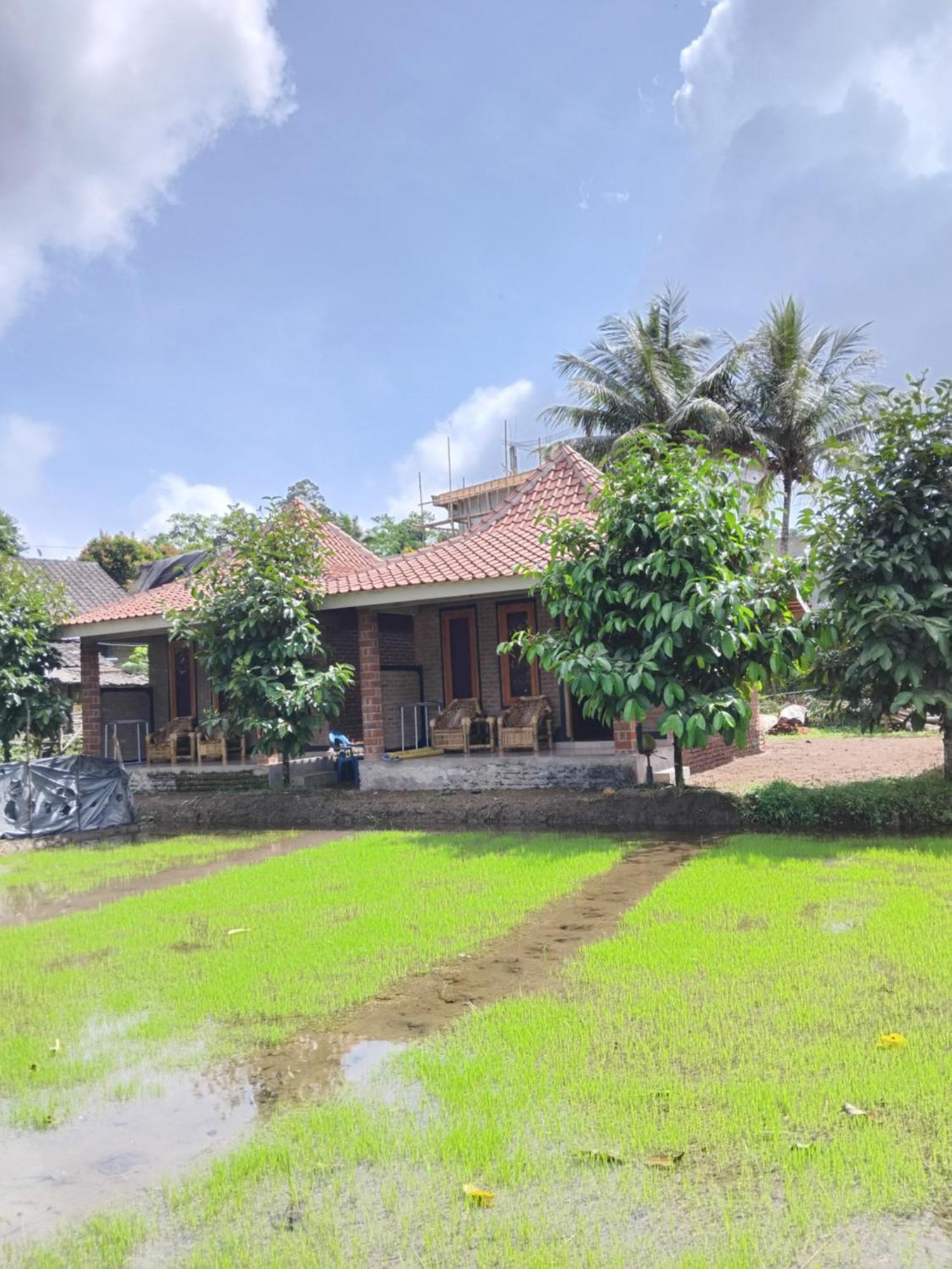 Tereng Wilis Bungalows Tetebatu Buitenkant foto
