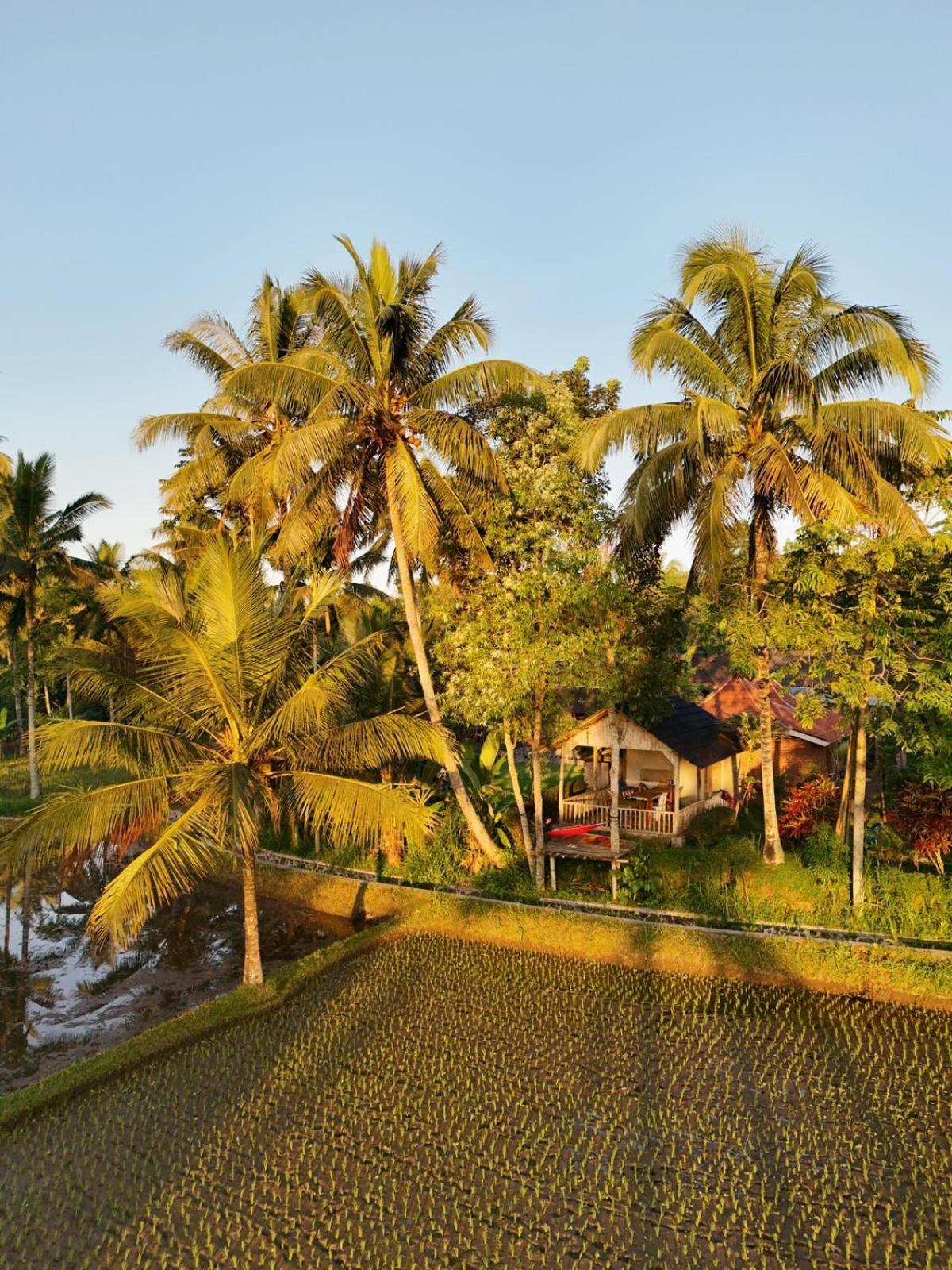 Tereng Wilis Bungalows Tetebatu Buitenkant foto