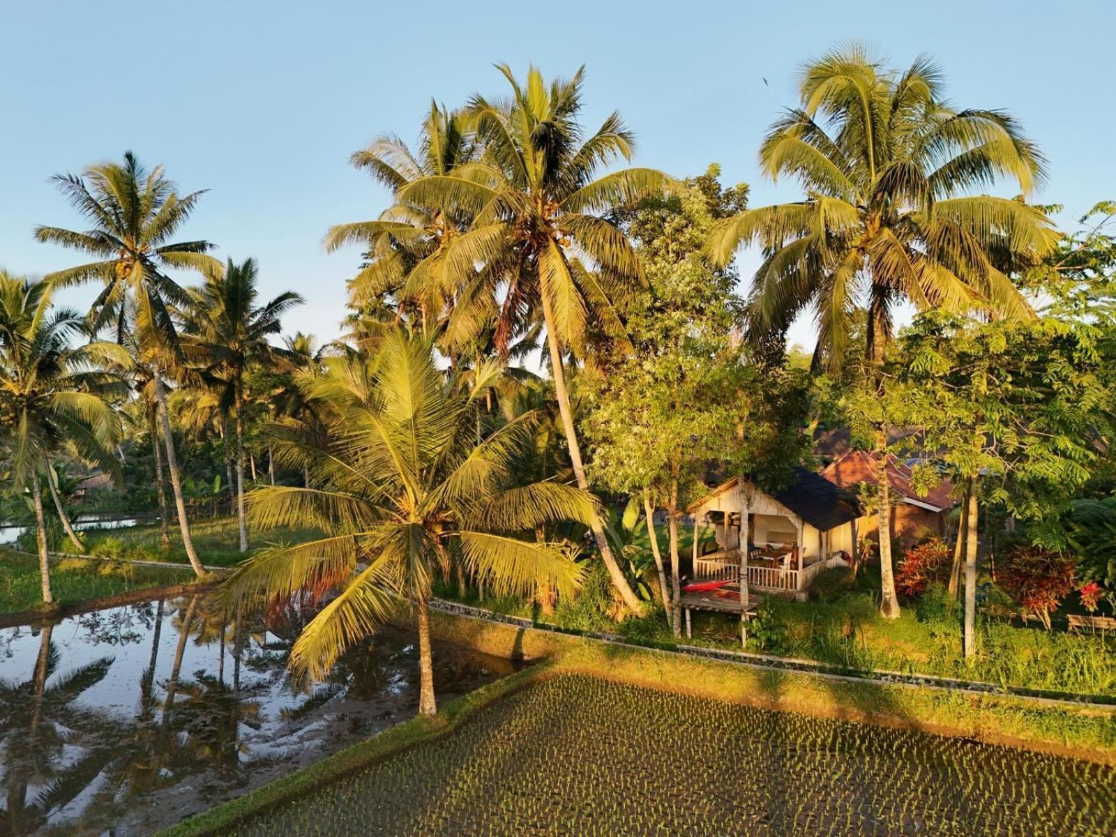 Tereng Wilis Bungalows Tetebatu Buitenkant foto