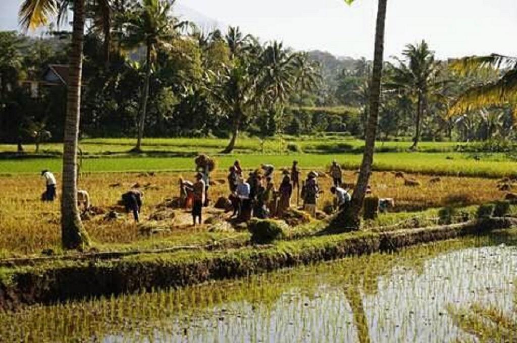 Tereng Wilis Bungalows Tetebatu Buitenkant foto