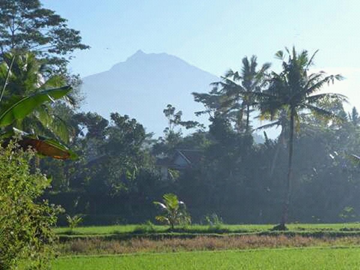 Tereng Wilis Bungalows Tetebatu Buitenkant foto