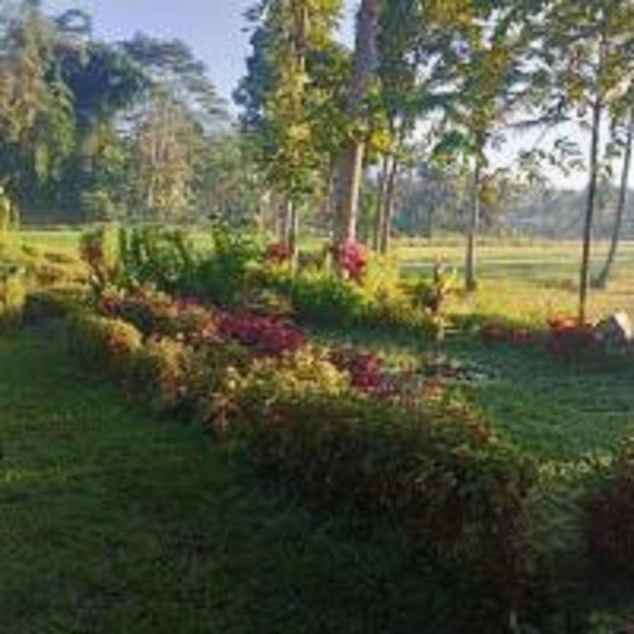 Tereng Wilis Bungalows Tetebatu Buitenkant foto