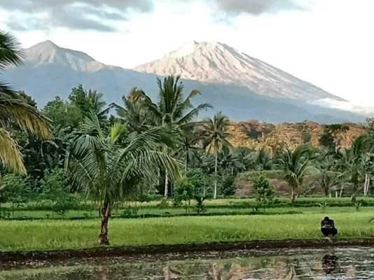 Tereng Wilis Bungalows Tetebatu Buitenkant foto